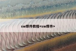 sw焊件教程