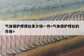 气体保护焊焊丝多少钱一件