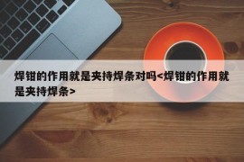 焊钳的作用就是夹持焊条对吗