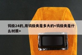 钨极24的,用钨极夹是多大的