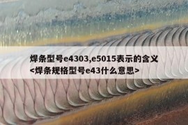 焊条型号e4303,e5015表示的含义