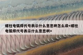 螺柱电弧焊代号表示什么意思啊怎么读