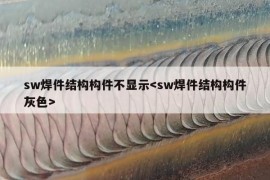 sw焊件结构构件不显示