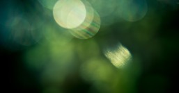 CO2气体保护焊：高效焊接的绿色守护者