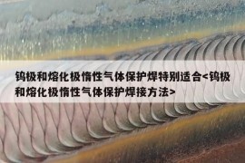 钨极和熔化极惰性气体保护焊特别适合