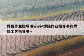 焊接作业指导书wwi