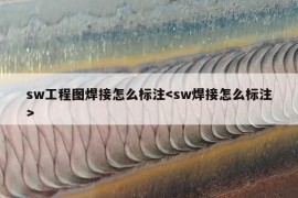 sw工程图焊接怎么标注