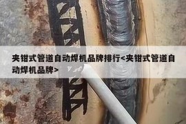 夹钳式管道自动焊机品牌排行