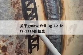 关于gmaw-feii-3g-12-fefs-1116的信息