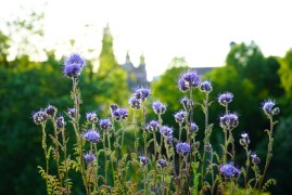 焊花下的纤纤玉手：女性焊工的时尚之选