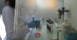  二氧化碳气体保护焊：隐形危害与气体安全揭秘