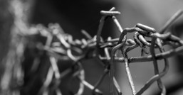 二氧化碳气体保护焊：焊接技术的双刃剑