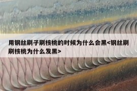 用钢丝刷子刷核桃的时候为什么会黑