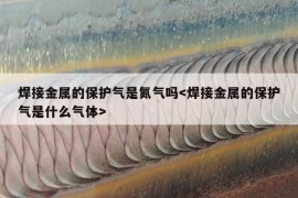 焊接金属的保护气是氮气吗