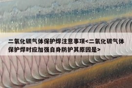 二氧化碳气体保护焊注意事项