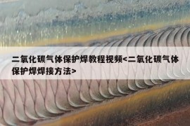 二氧化碳气体保护焊教程视频