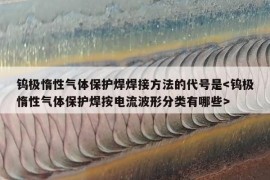 钨极惰性气体保护焊焊接方法的代号是