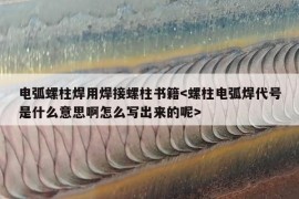 电弧螺柱焊用焊接螺柱书籍