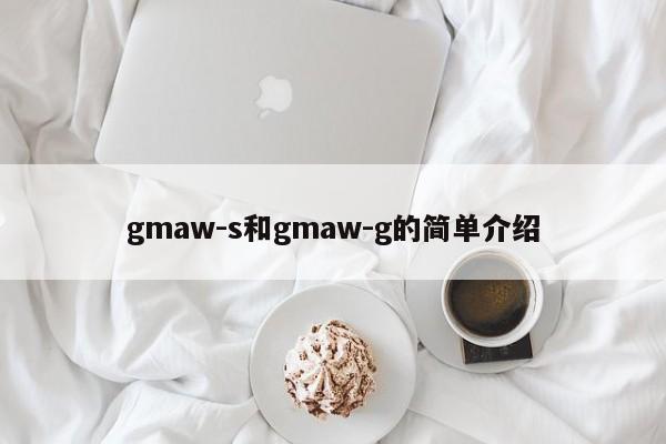 gmaw-s和gmaw-g的简单介绍