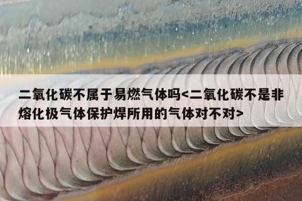 二氧化碳不属于易燃气体吗