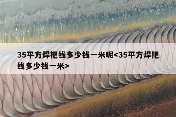 35平方焊把线多少钱一米呢