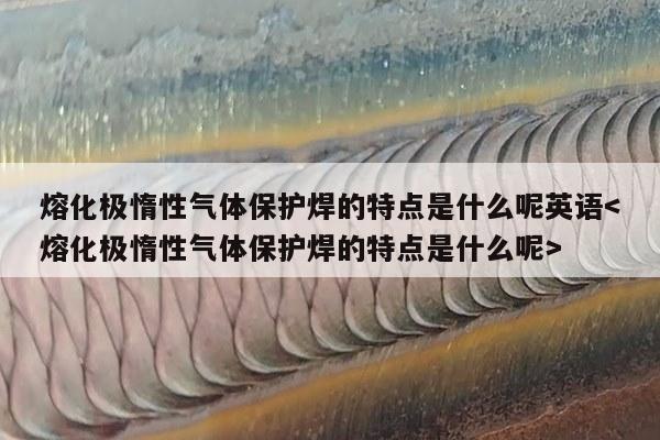 熔化极惰性气体保护焊的特点是什么呢英语