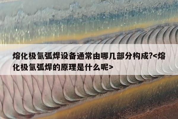 熔化极氩弧焊设备通常由哪几部分构成?