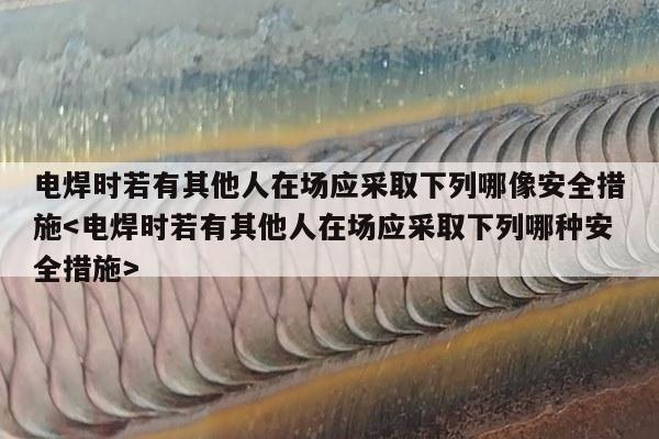 电焊时若有其他人在场应采取下列哪像安全措施